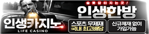 인생카지노