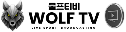 울프티비 울프티비
